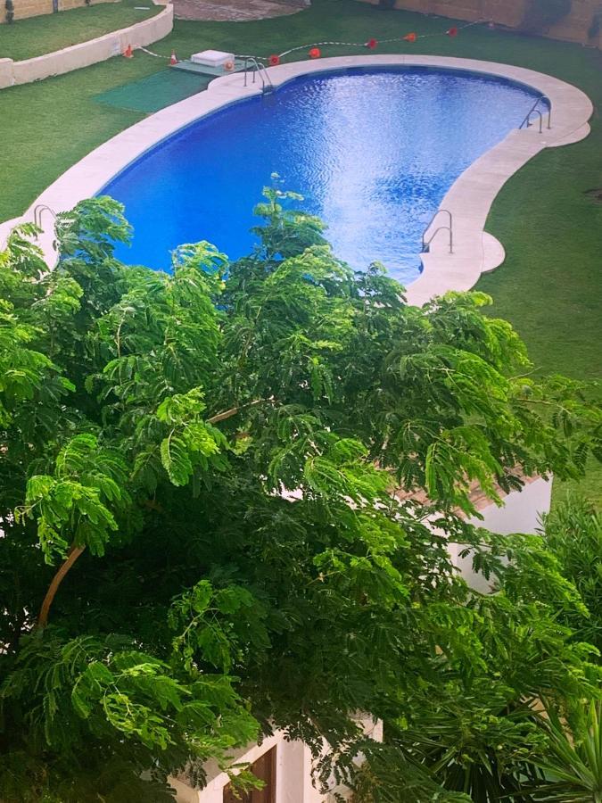 Lovely Beachfront Apartment In Calahonda Sitio de Calahonda エクステリア 写真